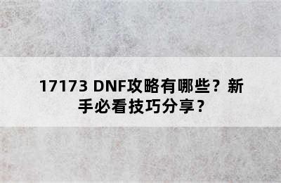 17173 DNF攻略有哪些？新手必看技巧分享？